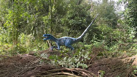 Jurassic Journey, Cotswolds, United Kingdom .